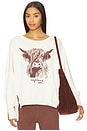 view 1 of 4 Graphic Camden Sweatshirt in Highland Cow