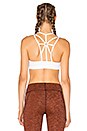 view 4 of 5 Sun Salutation Bra in White