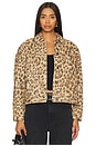 view 1 of 4 x REVOLVE Opal Swing Denim Jacket in Leopard