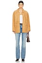 view 5 of 5 x REVOLVE Annalise Jacket in Chestnut