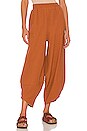 view 1 of 4 Leo Pant in Sienna
