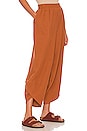 view 2 of 4 Leo Pant in Sienna