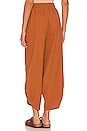 view 3 of 4 Leo Pant in Sienna