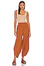 view 4 of 4 Leo Pant in Sienna