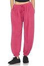 view 1 of 6 PANTALON JOGGER MOMENTUM in Brick