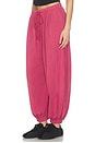 view 4 of 6 PANTALON JOGGER MOMENTUM in Brick
