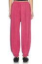 view 5 of 6 PANTALON JOGGER MOMENTUM in Brick
