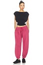 view 6 of 6 PANTALON JOGGER MOMENTUM in Brick