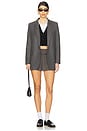 view 5 of 6 ЮБКА FREE PEOPLE HOUSTON in Charcoal Pinstripe