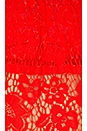 view 5 of 5 Sweet Dreams Lace Crop Top in Bright Red