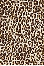 view 6 of 6 x REVOLVE Cheetah Baby Blouse in Snow Leopard Combo