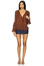 view 4 of 4 Bali Tulula Chiffon Top in Umber Earth
