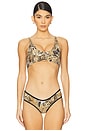 view 1 of 4 x REVOLVE x free-est Printed Farrah Crop Top in Samba