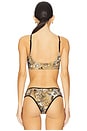 view 3 of 4 x REVOLVE x free-est Printed Farrah Crop Top in Samba