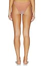view 3 of 5 Blair Kini Bikini Bottom in Hazel