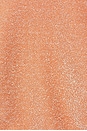 view 5 of 5 Blair Kini Bikini Bottom in Hazel