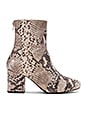view 1 of 5 Cecile Ankle Boot in Taupe