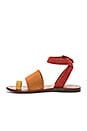 view 5 of 5 Torrence Flat Sandal in Burnt Orange