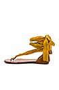 view 5 of 5 SANDALIA BARCELONA in Yellow