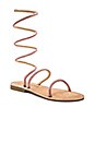 view 2 of 5 Havana Gladiator Sandal in Pink