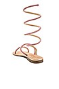 view 3 of 5 Havana Gladiator Sandal in Pink