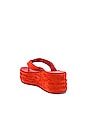 view 3 of 5 Haven Thong Flatform Sandal in Flame