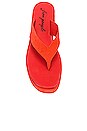view 4 of 5 Haven Thong Flatform Sandal in Flame