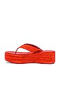 view 5 of 5 Haven Thong Flatform Sandal in Flame