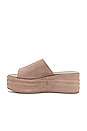 view 5 of 5 Harbor Flatform Sandal in Fawn Grey