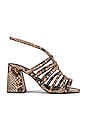 Free People Colette Cinched Heel in Python | REVOLVE