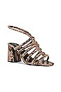 view 2 of 5 Colette Cinched Heel in Python