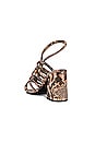 view 3 of 5 Colette Cinched Heel in Python