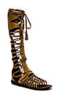 view 2 of 5 Sun Seeker Gladiator Sandal in Honey Whiskey