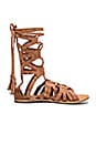 view 1 of 5 Mesa Verde Gladiator Sandal in Tan