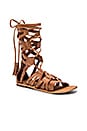 view 2 of 5 Mesa Verde Gladiator Sandal in Tan