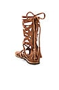 view 3 of 5 Mesa Verde Gladiator Sandal in Tan