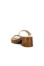 view 3 of 5 SABOT BECK BUCKLE in Sunstone Sand