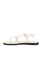 view 5 of 5 SANDALIA CORSICA STRAPPY in Bone