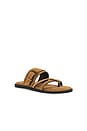 view 2 of 5 Belted Cross Strap Sandal in Driftwood Tan