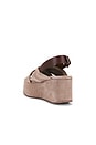 view 3 of 5 Beach Party Platform Sandal in Fawn Suede