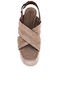 view 4 of 5 Beach Party Platform Sandal in Fawn Suede