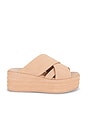 view 1 of 5 Wanderbay Flatform Sandal in Dusty Rose
