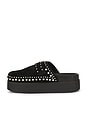 view 6 of 5 PANTUNFLA CAYATANA STUDDED  in Black Suede