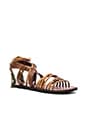 view 2 of 5 Willow Sandal in Tan & Safari