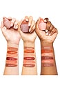 view 7 of 9 Cheekslime Lip + Cheek Tint in Fielding