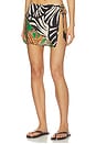 view 3 of 6 All Over Mini Skirt in Animal