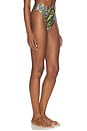 view 2 of 4 BAS DE MAILLOT DE BAIN in Strilitzia Dark Green