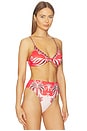 view 2 of 4 TOP BIKINI in Ainika Garden Red