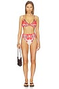 view 4 of 4 TOP BIKINI in Ainika Garden Red