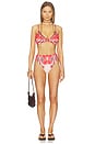 view 4 of 4 Hot Pants Bikini Bottom in Ainika Garden Red